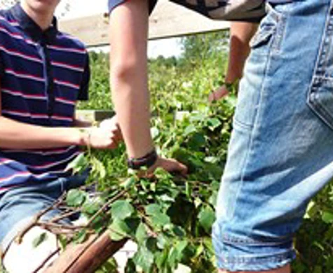 Dag 13 och 14: Midsommar