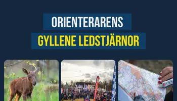 Orienterarens Gyllene Ledstjärnor Mörk