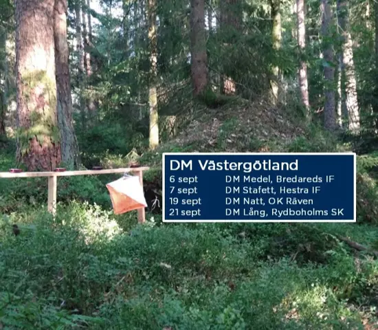 DM Tävlingar 2025 Hemsidan