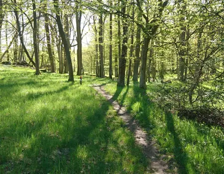 Thumbnail Markfrågor