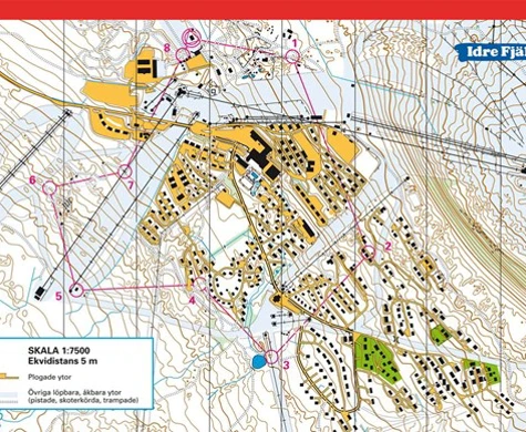 Landslagslöparna klättrar mot toppen: "I Idre finns alla förutsättningar"