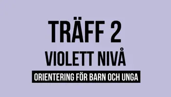 Fyrkantspuff Violett T2