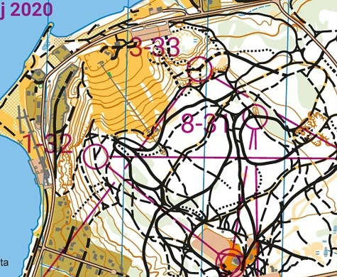 Bra MTBO-aktiviteter i distrikten