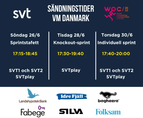 Svenskt VM-lag med favoritstämpel