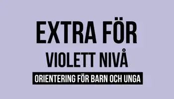 Fyrkantspuff Violett Extra