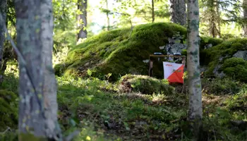 Kontroll i skog
