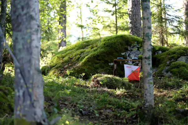 Kontroll i skog