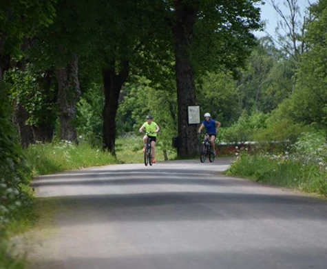 Grillbuffe med Jukola