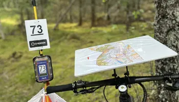 524908175 10163058779365664 4664486888014673983 N