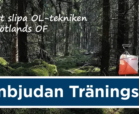 Världsstjärnor sätter guldkant på träningsdagar