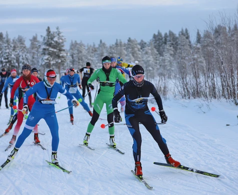 Masstart i skidorientering i Arvidsjaur.