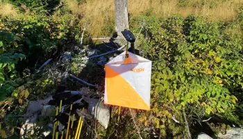 Orienteringskontroll i skogen
