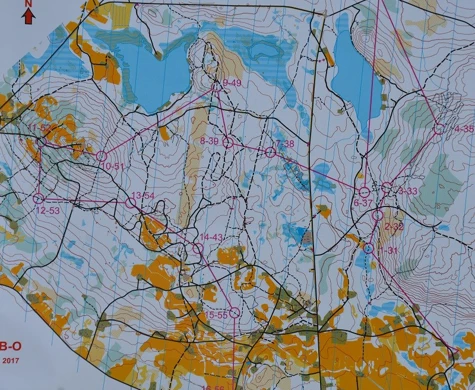 Skön revansch för Svärd