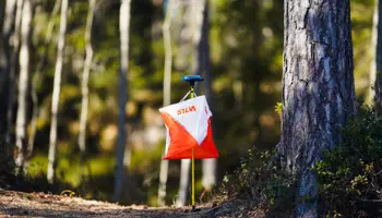 Genrebild Skog Teromarjamäki 7