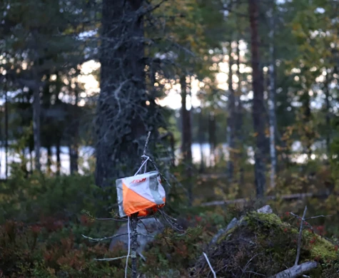 En orienteringsskärm ute i skogen.