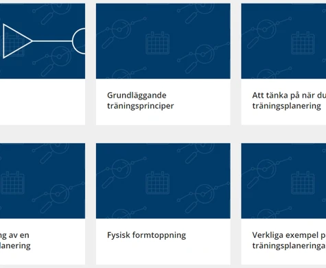 Planering och analys