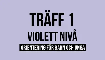 Fyrkantspuff Violett T1