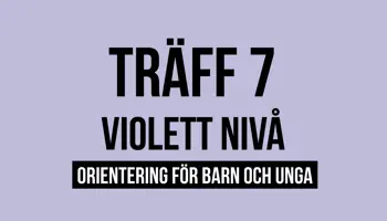Fyrkantspuff Violett T7
