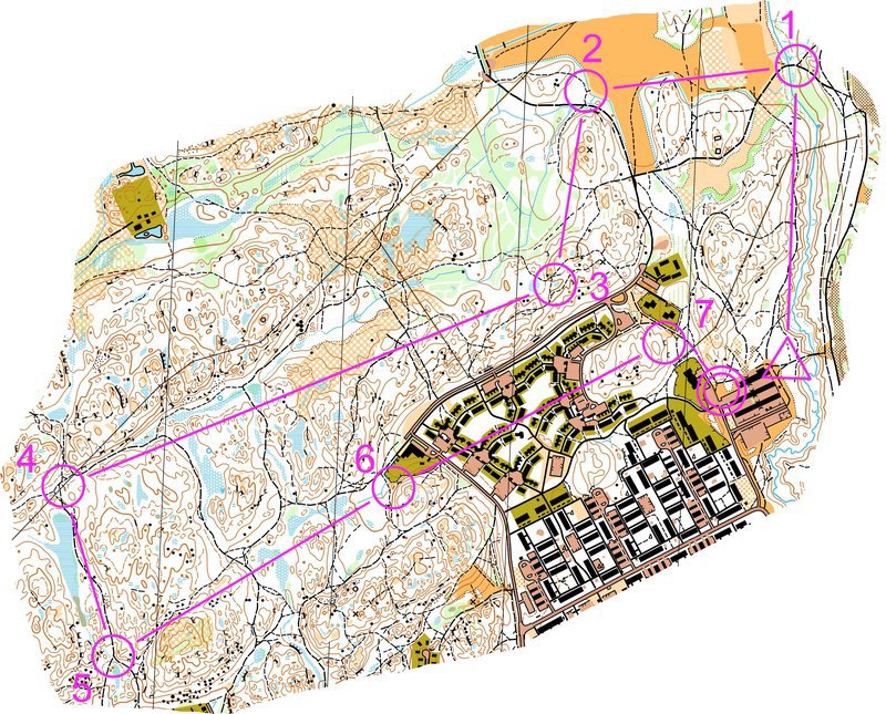 An example of an orienteering map.