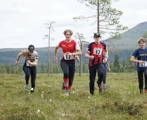 Massa orientering och nya vänner = Rikslägret sommar