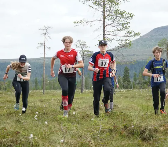 Massa orientering och nya vänner = Rikslägret sommar