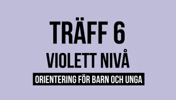 Fyrkantspuff Violett T6
