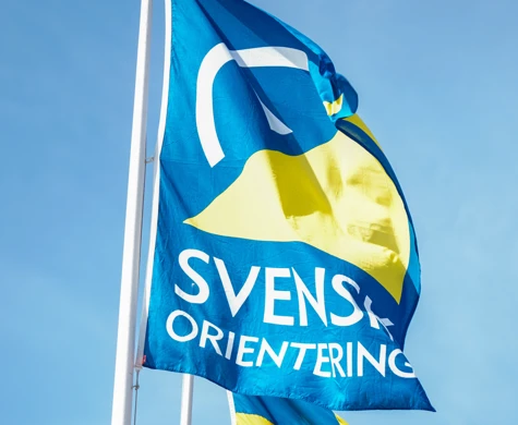 Svensk Orienterings flagga