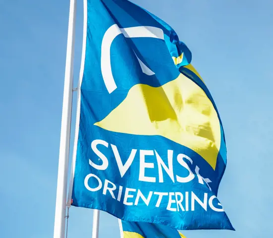 Svensk Orienterings flagga