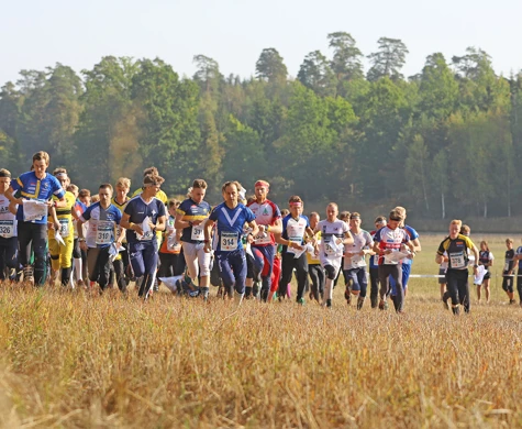 Stafettligan 2025 avgörs vid SM-stafetten på söndag. Bilden från herrarnas start 2024.