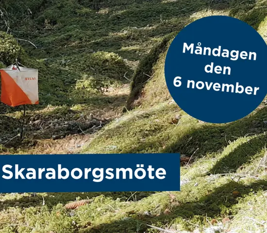 Skaraborgsmöte 2023 Web