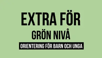 Fyrkantspuff Gron Extra