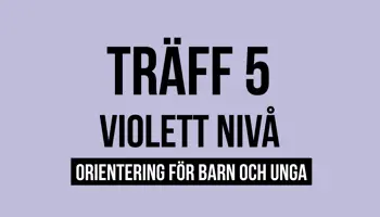 Fyrkantspuff Violett T5