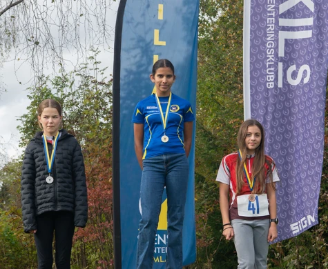Prispall lilla VM