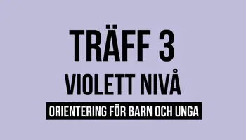 Fyrkantspuff Violett T3