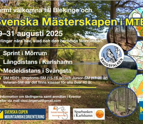 Bild1