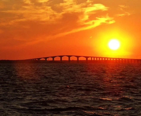 Cupavslutningar i Kalmar för MTBO