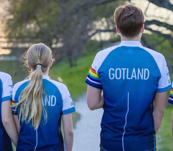 Långsmal För Nyh Hemsida