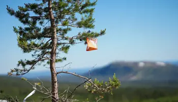 Bild Pm Träning (2)