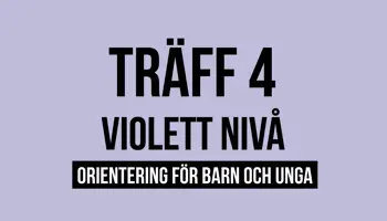 Fyrkantspuff Violett T4