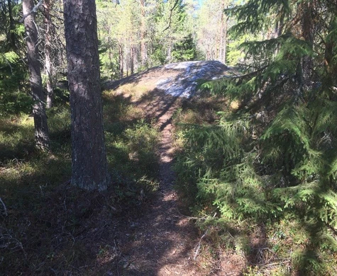 Nedräkning för O-ringen