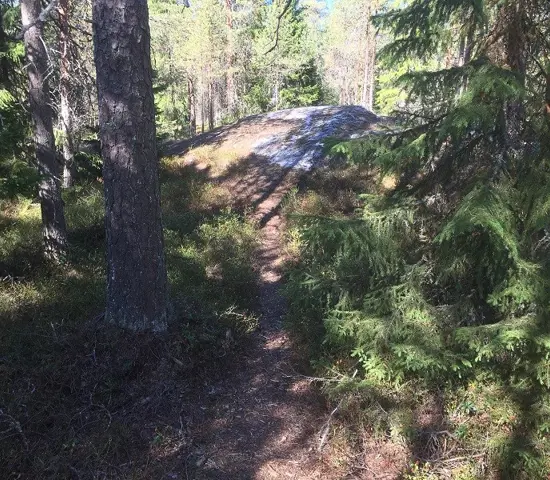 Nedräkning för O-ringen