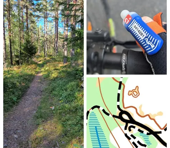 Kollage MTBO