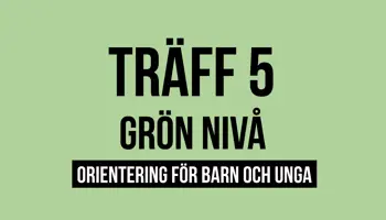 Fyrkantspuff Gron T5