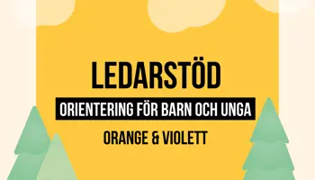 Fyrkantspuff Ledarstod OV
