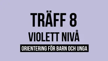 Fyrkantspuff Violett T8