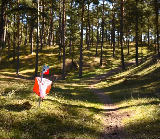 Polarna Vår