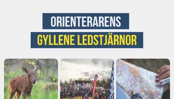 Orienterarens Gyllene Ledstjärnor Ljus