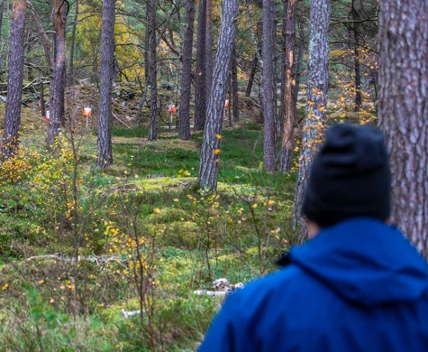 Foto från PreO stafett SM 2023