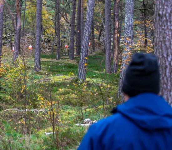 Foto från PreO stafett SM 2023
