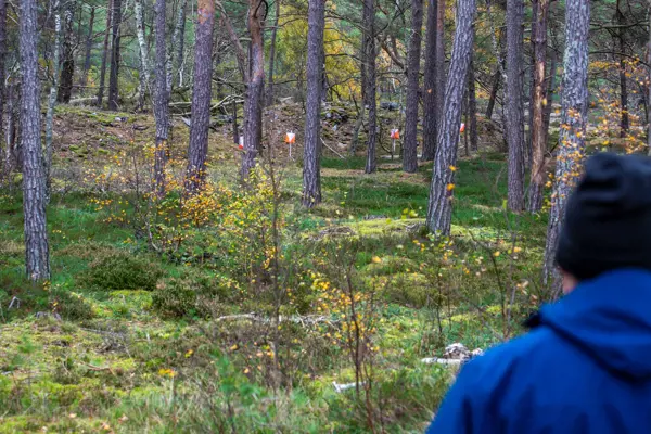 Foto från PreO stafett SM 2023